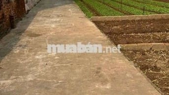 🚀🚀🚀 Siêu phẩm ĐỐI DIỆN TRƯỜNG MẦM NON Thư phú - Thường Tín - Hà Nội