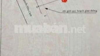 bán gấp 120m ngang 6m mặt tiền Nguyễn Hữu Cảnh trung tầm Nhơn Trạchj