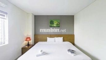✨ DOHA CENTRAL BLISS BY HAVILAND – 193 NGUYỄN VĂN LINH ✨