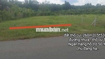 Kẹt tiền cần bán thu hồi vốn . đất tại bình dương.260m2. thổ cư 100
