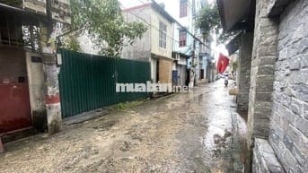 Bán gấp đất đấu giá Đại Áng ô tô ,phân lô ,vỉa hè giá 9.1 tỷ