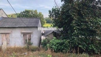 Bán 1000m2 Đất Mặt Tiền Kinh Doanh