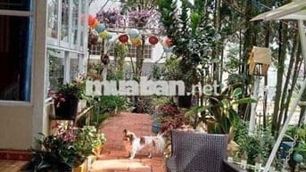 sang home siêu xinh cánh big c chỉ 800m