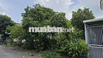 Chủ ngộp bán gấp đất đường Tỉnh lộ 43, Bình chiểu Thủ Đức. 144m, 6,9T