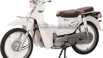 Mua xe Cub