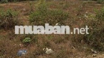 Cần bán đất thổ cư 175m2 trung tâm khu dân cư huyện Krông Pắc