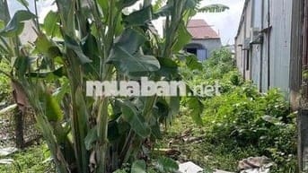 ✅ CHÍNH CHỦ CẦN TIỀN NÊN BÁN LÔ ĐẤT SIÊU ĐẸP - SIÊU LƯỚT. GẦN NGAY CHỢ
