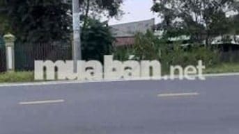 Nhà mặt tiền đường nhựa, diện tích 364 m2 tiện ở và kinh doanh