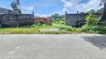 CẦN TIỀN TRẢ NỢ BÁN GẤP LÔ ĐẤT 363M2 CHỈ VỚI 580TR NGAY PHƯỚC THẠNH