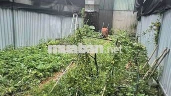 THỬA ĐẤT TL10- 610 TỜ 25- 87M2- ĐƯỜNG ÔTÔ TẢI- SỔ VUÔNG- CHỈ 5.4TY