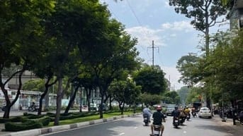 Tòa nhà MT Hồng Bàng, P.Chợ Lớn. DT 7.1x19m, 6 tầng
