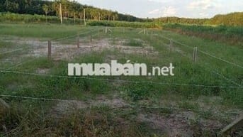 Đất TPHCM cần bán gấp 200m2 có 100m tc giá 390tr