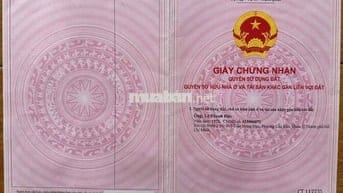 Chính chủ cần bán gấp đất lúa Tân An cách đường Lê Hữu Nghĩa 100m