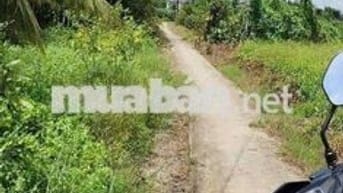 Bán đất Thổ Cư 125m2 Thanh Phú Long Long An