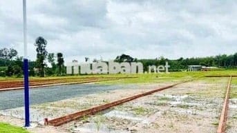 500m2 - Sẵn thổ cư - Ngay trường học - Xây dựng tự do - ký cc ngay