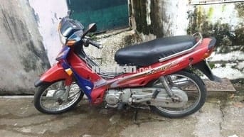 Sirus màu đỏ 2oo1