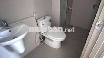 Chủ ngộp cần bán gấp.
- Căn hộ 3 phòng ngủ - 2WC. Chung cư Eco Xuân -