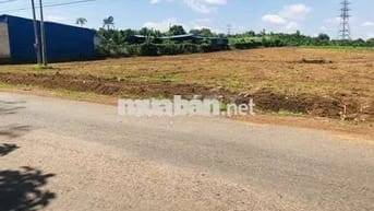 Bán gấp lô đất 200m² full thổ cư 100m² - Sổ hồng riêng