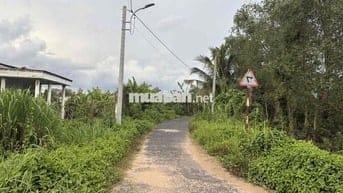 CẦN BÁN NỀN THỔ CƯ GIÁ TỐT, ĐẤT PHƯỜNG TÂN NGÃI - TỈNH VĨNH LONG