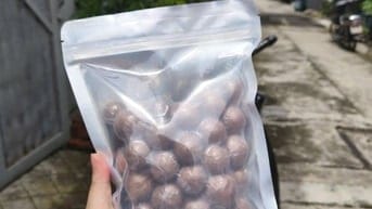 MẮC CA SẤY DINH DƯỠNG - MẮC CA DAKLAK - TÂY NGUYÊN