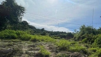 GIÁ RẺ BẤT NGỜ. 20x50 QL 27, Xã KRÔNG NÔ, LAK, ĐĂK LĂK 