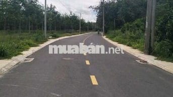 Chính chủ cần bán nhanh lô đất Đ.NA4, Thới Hòa mà giá chỉ 780 triệu.
