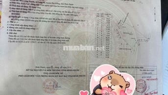 chính chủ bể ngộp cắt lỗ mãnh vườn cây ăn trái tâm huyết