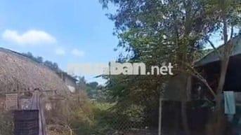 Bán đất full thổ cư 600m xây trọ kcn. Visip3 hội Nghĩa Tân Uyên