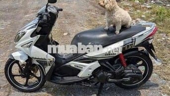 Novo LX giấy tờ đầy đủ