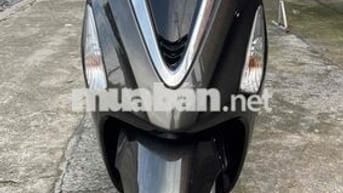 acuzo biển 61