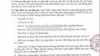 BĐS Ấp Trảng Tranh, xã Tân Lợi, huyện Đồng Phú, tỉnh Bình Phước