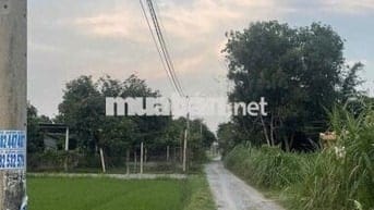 CẦN BÁN ĐẤT THỔ CƯ 100% DIỆN TÍCH 139m2 TẠI BÀU SEN ĐỨC LẬP THƯỢNG