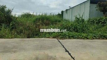 Đất thổ cư KDC Bình Tâm - Tân An - Long An