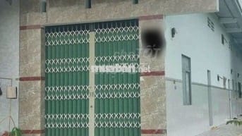 Bán dãy trọ Củ Chi: 704m2 (15x47-300m2 thổ cư) - Tân An Hội . 2 tỷ 900