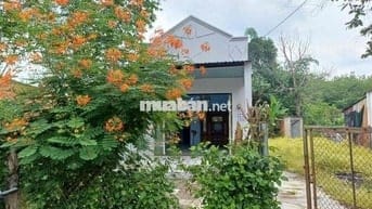Tam Lập, Giảm mạnh 300 tr cứu chủ ngộp ngân hàng ngay cụm công nghiep