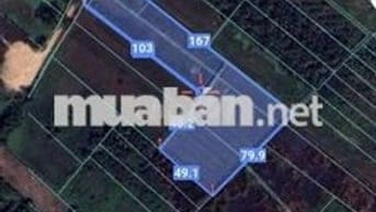 Cần Bán 6 lô đất liền kề tại Tân An , Thủ dầu một , Bình Dương .