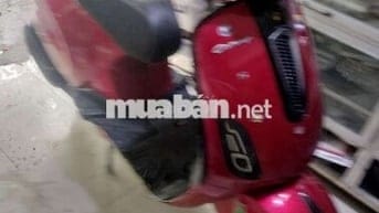 Canely50cc