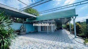 nhà mặt tiền + vườn cây ăn quả