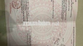 Ban đat phuong an thanh ,TA,BD,,TREN ĐAT CO MAY CAY MANG CUT,MAT LAM