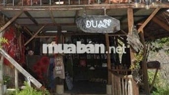 💼 SANG NHƯỢNG HOMESTAY – ĐẤT VÀ MÔ HÌNH KHAI THÁC NGAY TẠI D’RAN – LÂM
