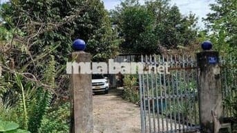 🏡 BÁN ĐẤT THỔ CƯ – SỔ HỒNG RIÊNG – CÔNG CHỨNG NGAY TẠI NGÂN HÀNG