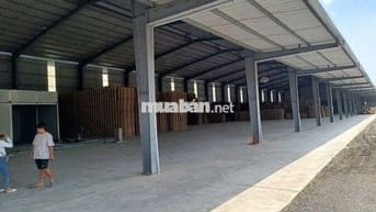 Cho thuê showroom 1.000m2 MT Trần Văn Giàu, Bình Chánh, giá : 80tr/ TH