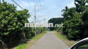 Bán đất cách sân bay Long Thành 2,5 km, diện tích 2436m2