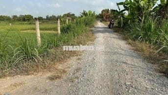 CHÍNH CHỦ CẦN BÁN ĐẤT VƯỜN – NGAY CẢNG, SÁT CỬA KHẨU BÌNH HIỆP – KIẾN