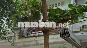 Nhà 2 tầng: Mưa cỡ nào cũng không không chạm nước.