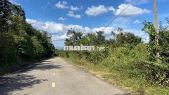 Bán 150m đất mặt tiền Liên xã Ia Kreng huyện Chư Păh Gia Lai
