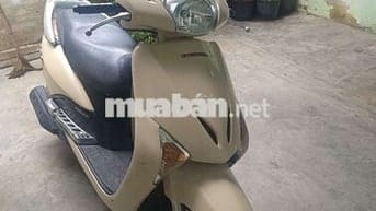 xe lead nữ