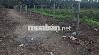 Bán lô đất vườn nằm khu dân cư mặt tiền kênh bà đội Bình Mỹ