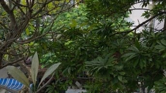 Bán nhà hẻm xe hơi Lê Quang Định. P11. Bình Thạnh