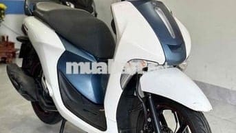 Janus 2019 Phố zin keng
